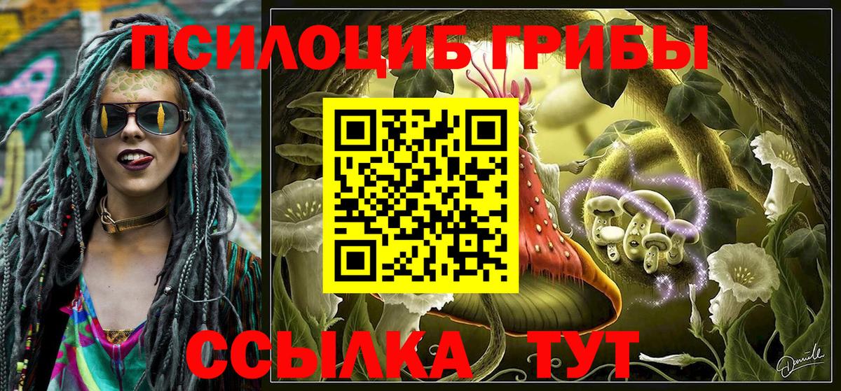 Псилоцибиновые грибы прущие грибы Каспийск