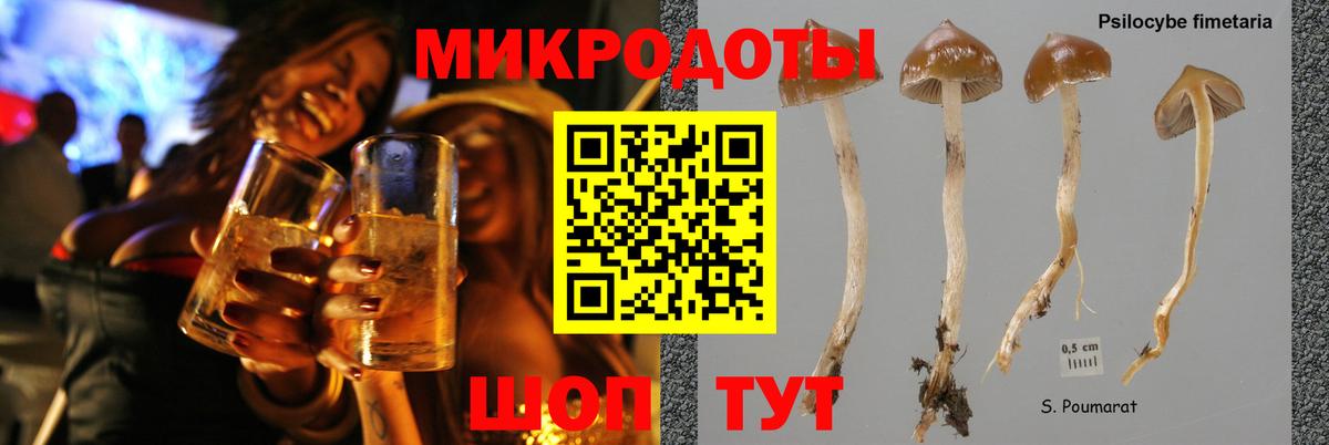 хочу   Псилоцибиновые грибы MAGIC MUSHROOMS  Вход с VPN  Каспийск  Псилоцибиновые грибы прущие грибы 